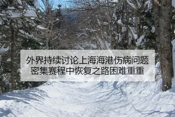 外界持续讨论上海海港伤病问题 密集赛程中恢复之路困难重重